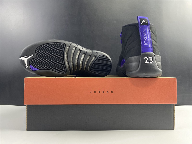 Air Jordan 12 Dark Concord(CT8013-005)